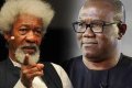 Labour Party Leadership Knows Peter Obi Lost 2023 Polls But They Want To Force Lies On Nigerians - Wole Soyinka 