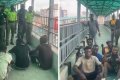 12 Miscreants Arrested For Sleeping Under Ikate-Elegushi Bridge In Lagos (Video)