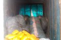 Truck Driver Arrested As Detectives Discover 1,040 Wraps Of Suspected Indian Hemp Being Offloaded From Boat