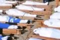 Bandits Kill 23 Villagers In Kaduna