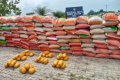 Hardship: How Rice Smugglers Nearly Killed Me - Customs Officer Narrates In Court