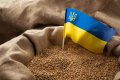 Ukraine Donates Grains To Nigeria Amidst Food Price Spike