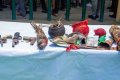Police Nab Witch Doctor, 25 Others Linked To Snatching Of 79 Cars In Rivers