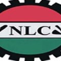 NLC Slams Zamfara Govt for Paying Teachers N8,000 as Salary