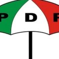 Crisis: PDP Should Be Completely Overhauled - Segun Sowunmi