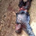 Police Eliminate Two Armed Bandits In Katsina
