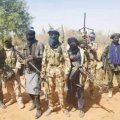 Bandits Demand N500M For 30 Zamfara Hostages 