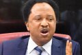 Shehu Sani Predicts Trouble for Adeleke Ahead of Osun Election