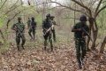 Troops Rescue 14 Kidnap Victims After Terrorist Clash in Katsina